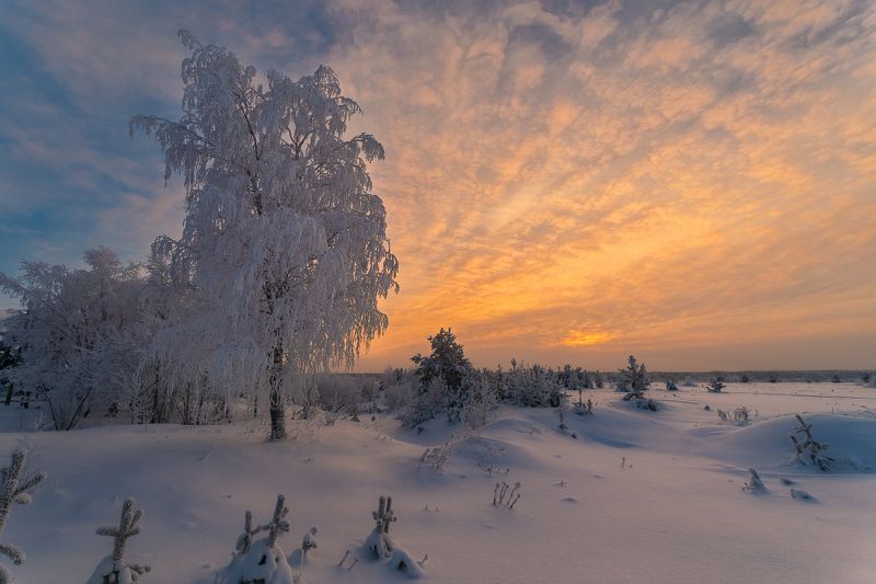 Предвечерний ноябрь фото превью