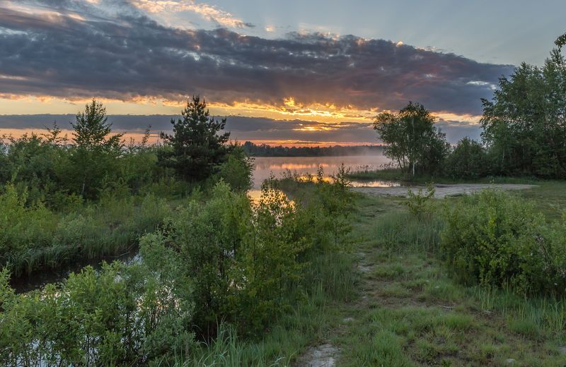 утро, рассвет, озеро Тропинка к озеру фото превью