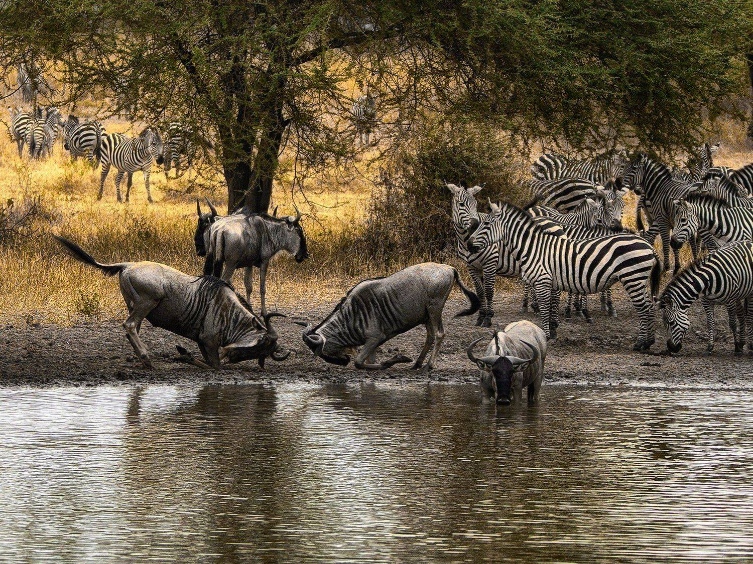 , Рашид Усманов