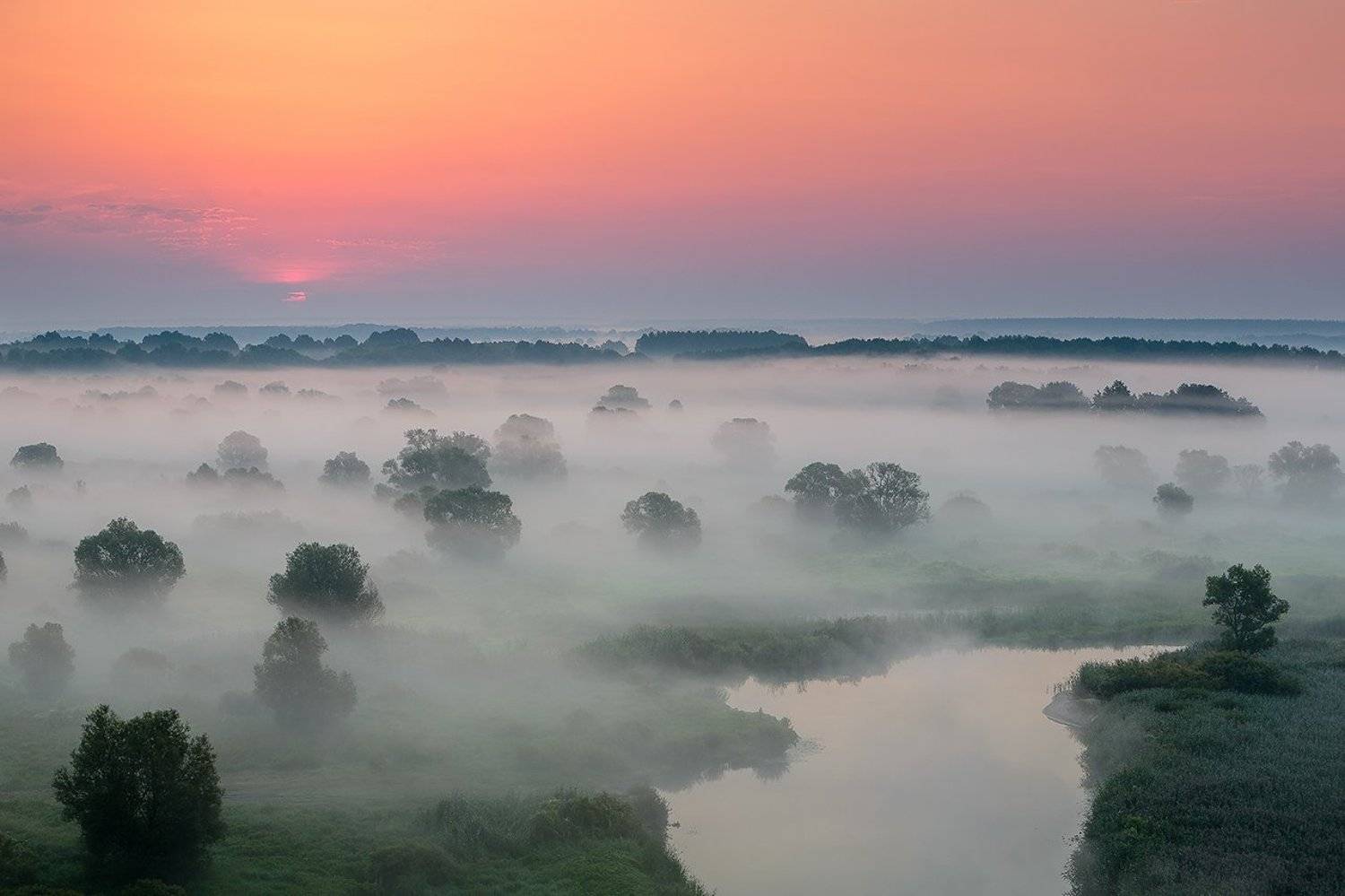 , Юрий Сорокин