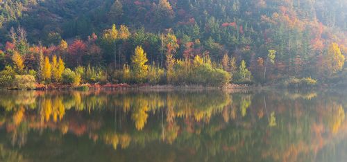Autumn legacy