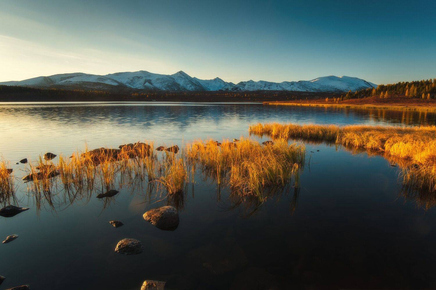 россия, алтай, республика алтай, сибирь, осень, природа, пейзаж, горы, хребет, озеро, рассвет, утро, отражение, чагакель, Оборотов Алексей