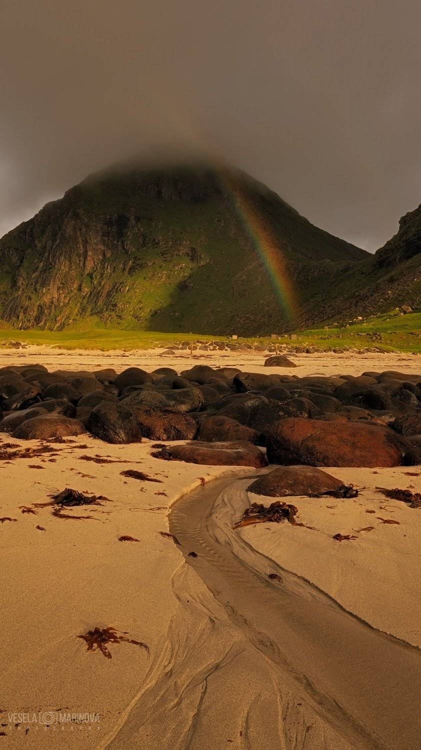 , Весела Маринова