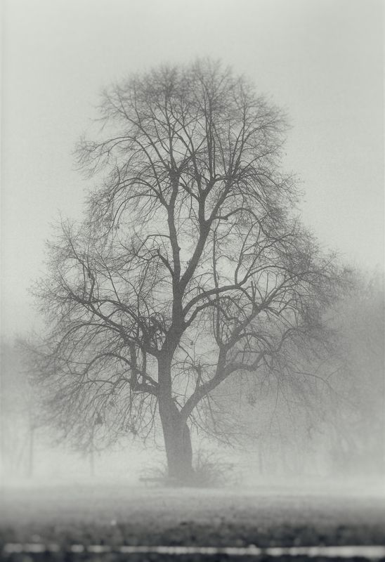 Туман фото превью