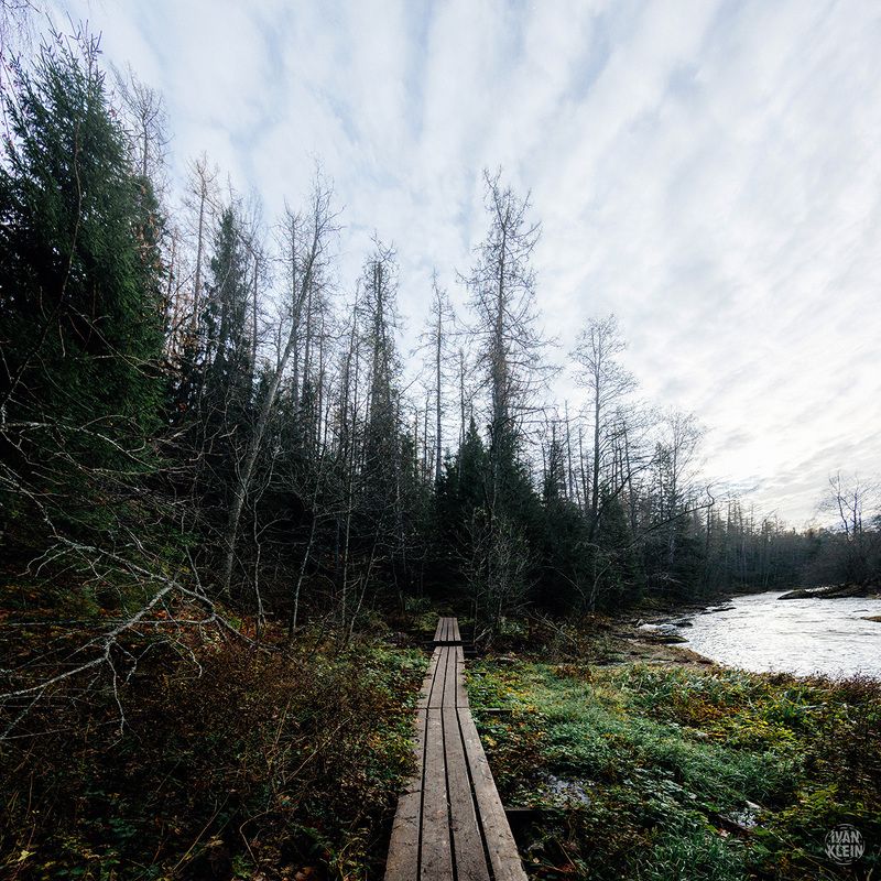 парк,лес,леса,заповедник,деревья,природа,пейзаж,река,вода,ель,ели,елки,природа,туризм,путешествие,россия Линдуловская роща фото превью