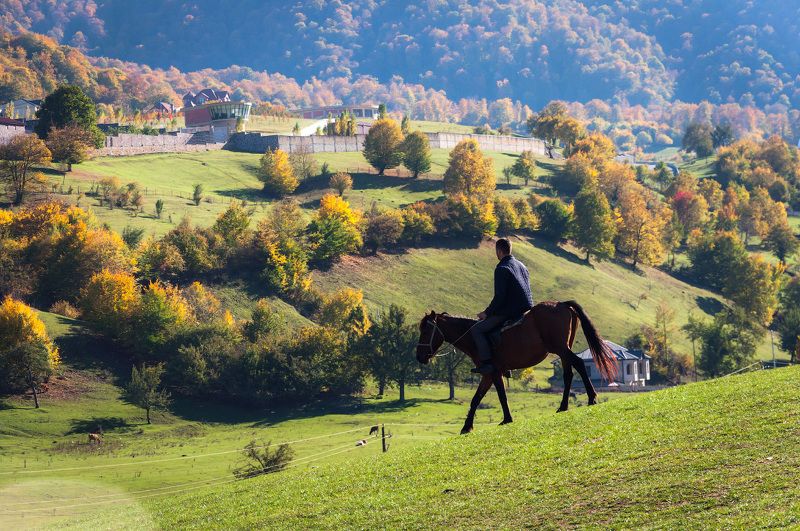 Всадник и осень фото превью