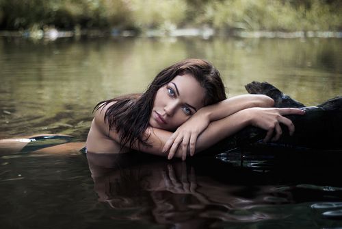 Портфолио