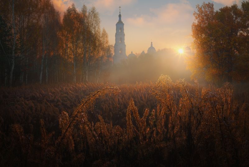 Осеннее утро  фото превью