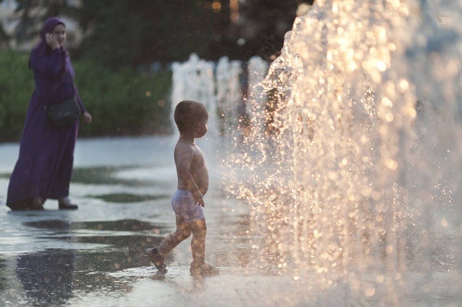, Алексей Шамашов