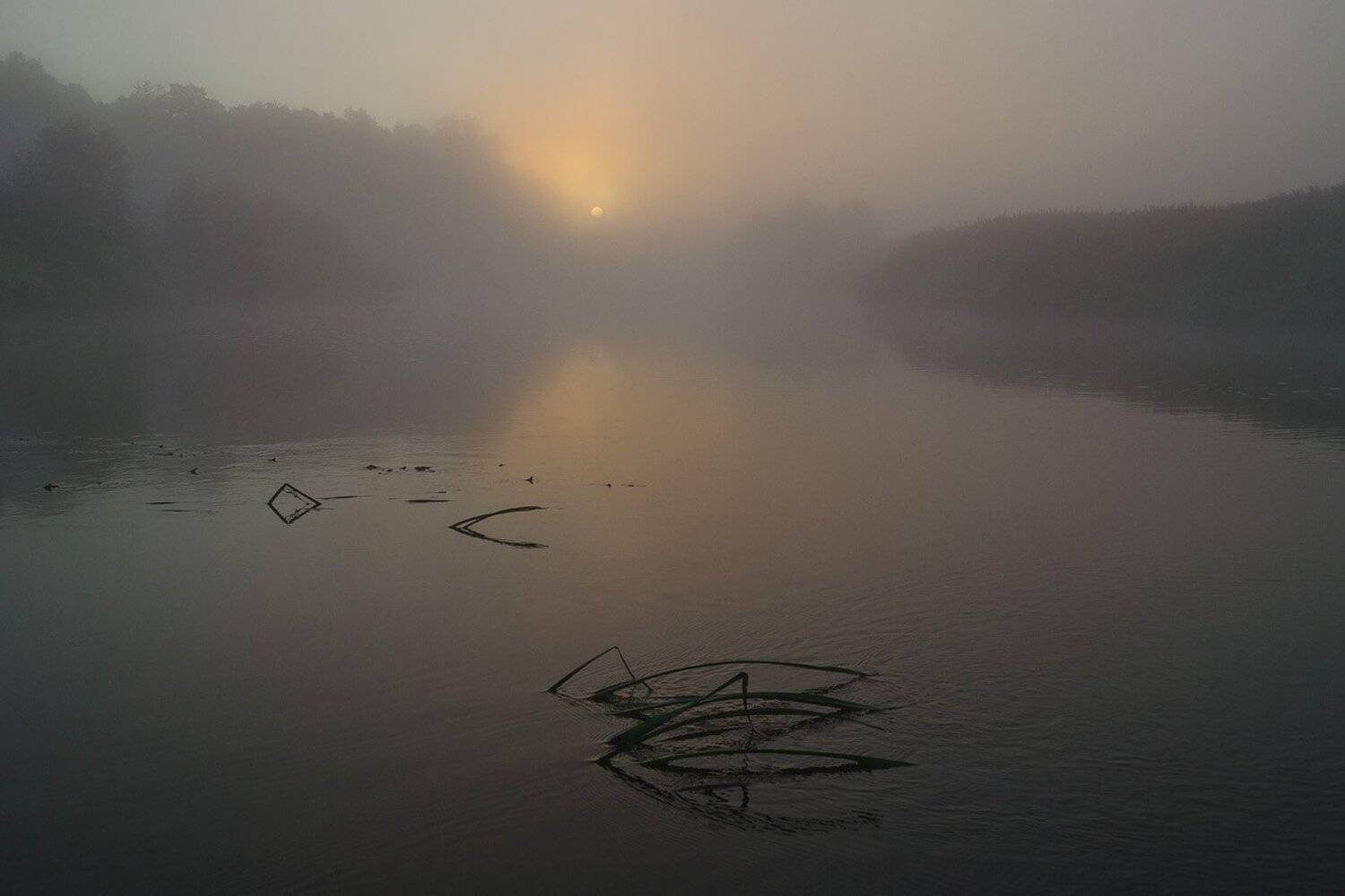 пейзаж, природа, река, упа, якшино, утро, рассвет, Михаил Агеев