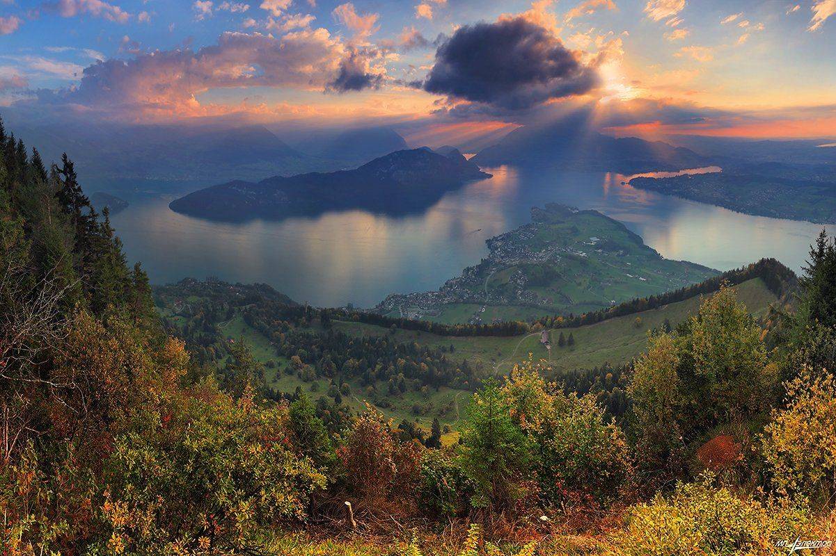 swiss, Матвеев Николай