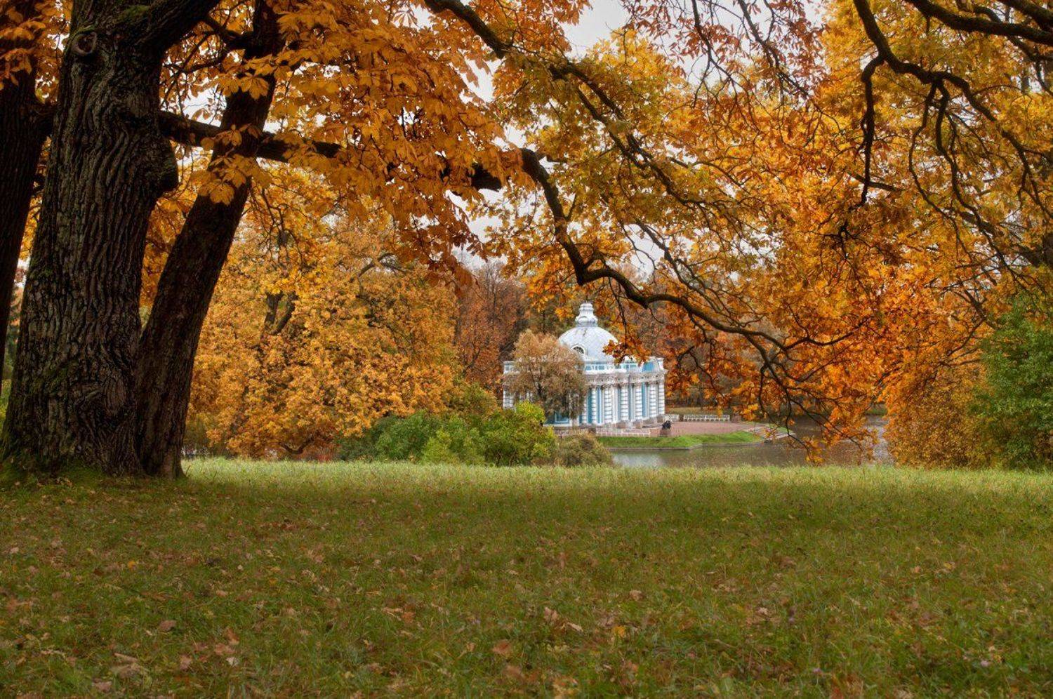пейзаж,парк,осень,пушкин,царское село, Наталия К