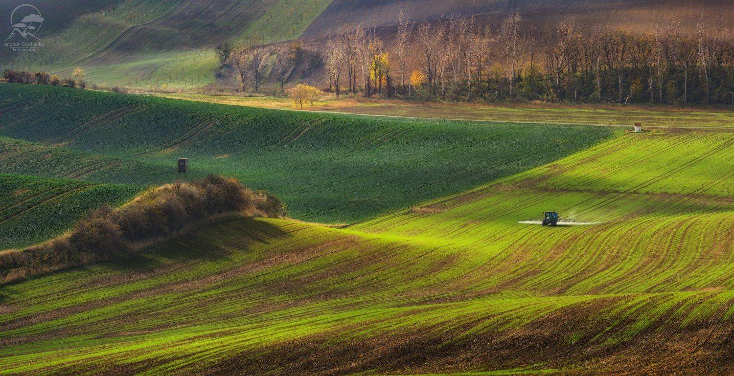 пейзаж, природа, поле, моравия, чехия, Анатолий Гордиенко