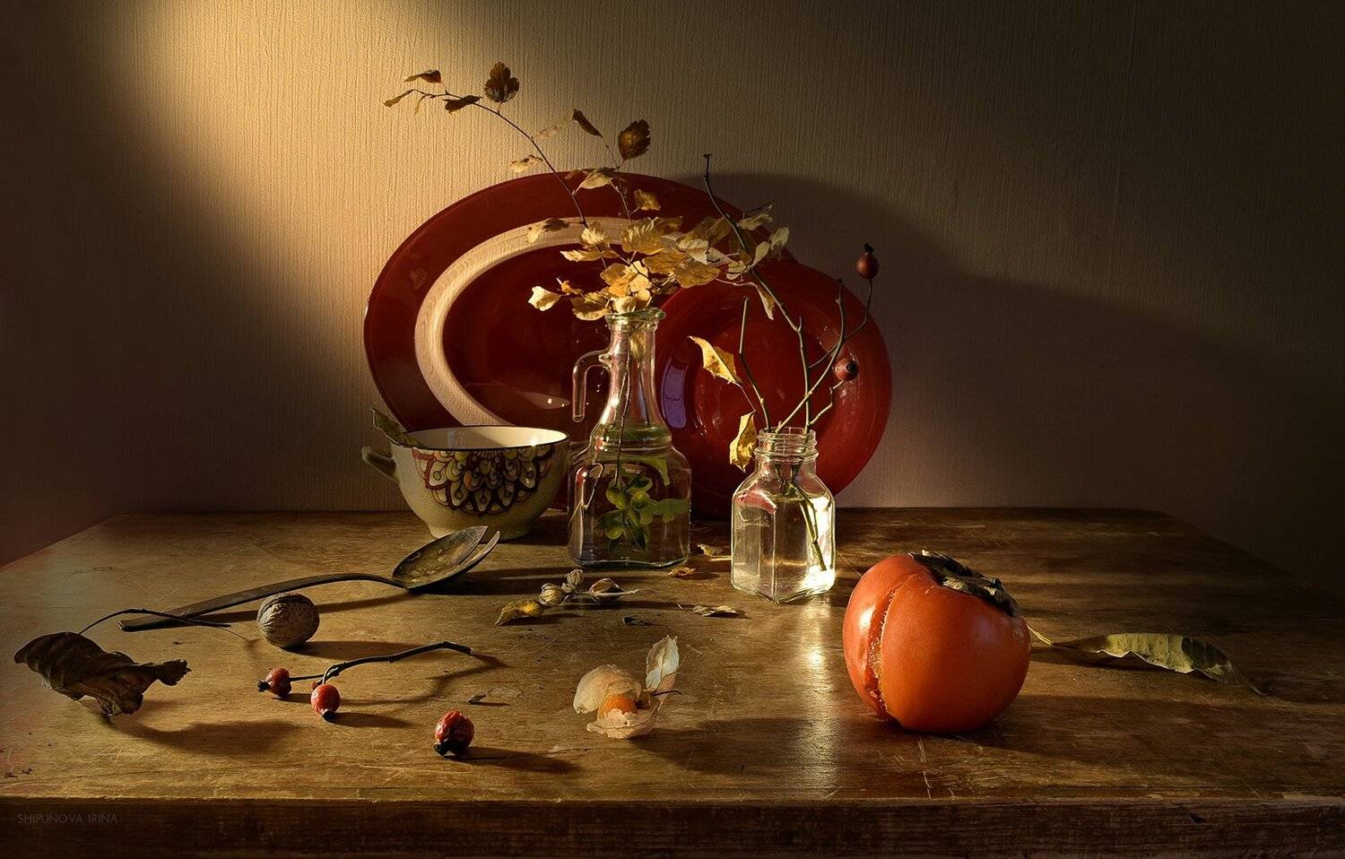 , Шипунова Ирина