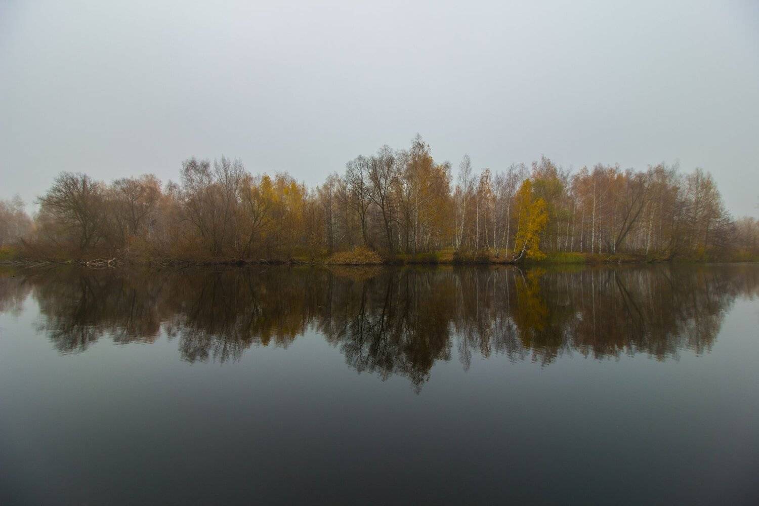 река, вода, туман, лес, осень, ноябрь, река усмань, Руслан Востриков