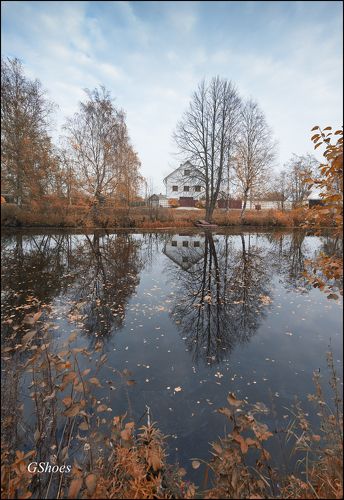 Осенние виды  у реки