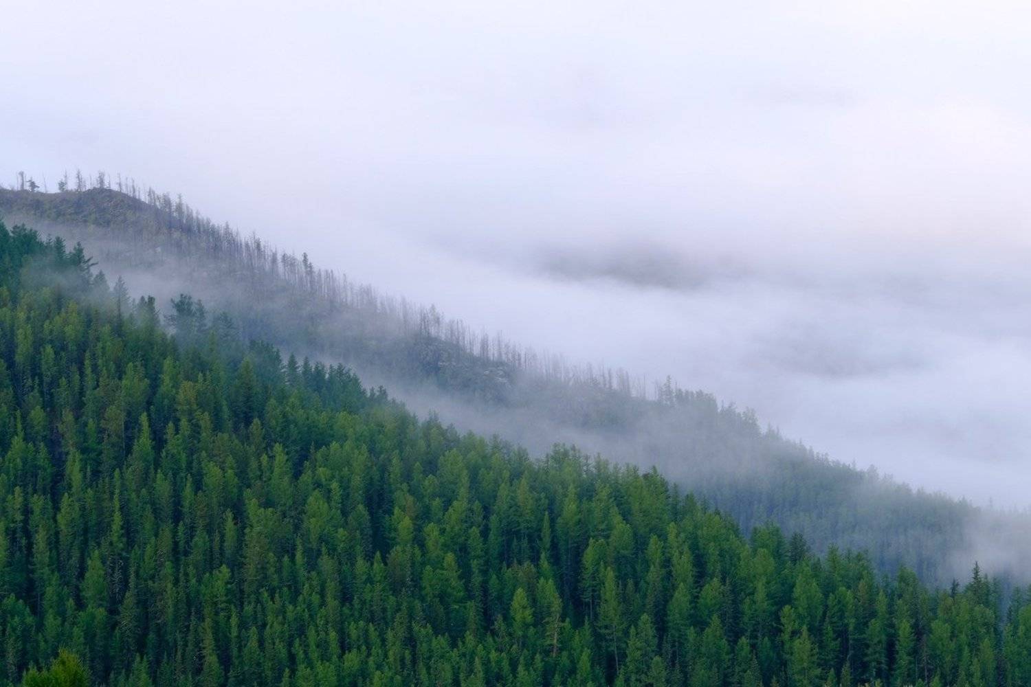 , Ольга Челдыкова