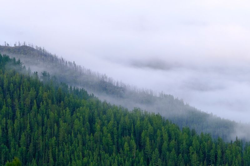 Туманы фото превью