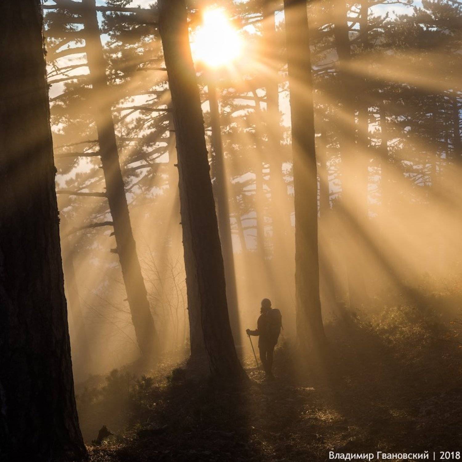 , Гвановский Владимир