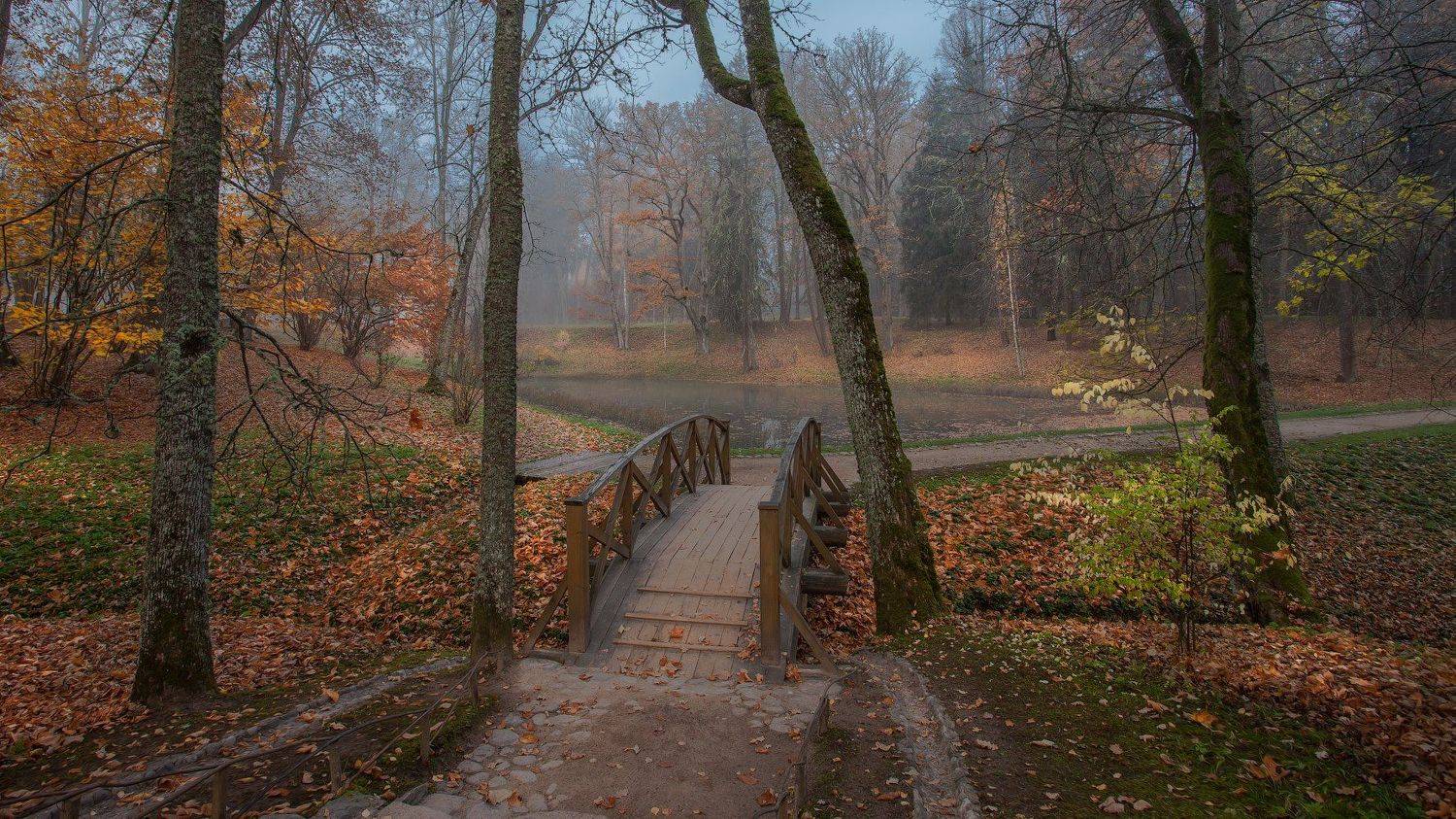 Тригорское, Псковская обл., октябрь, утро., Андрей Леонидович