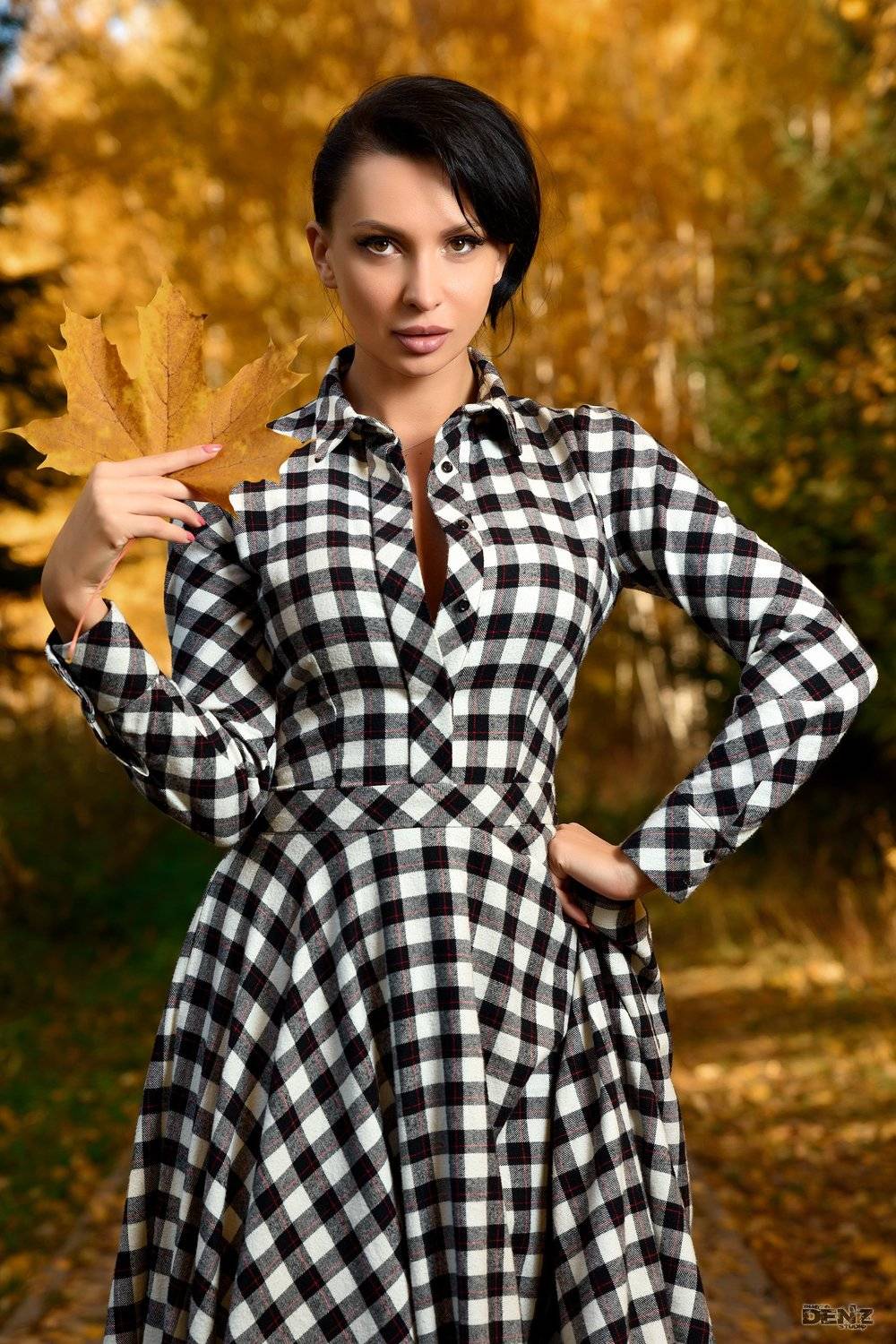 , Денис Вершинин