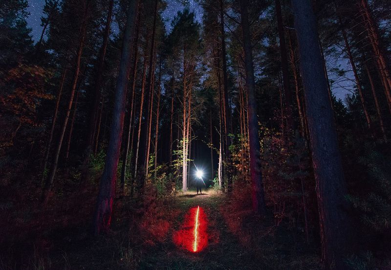 Движение к свету фото превью