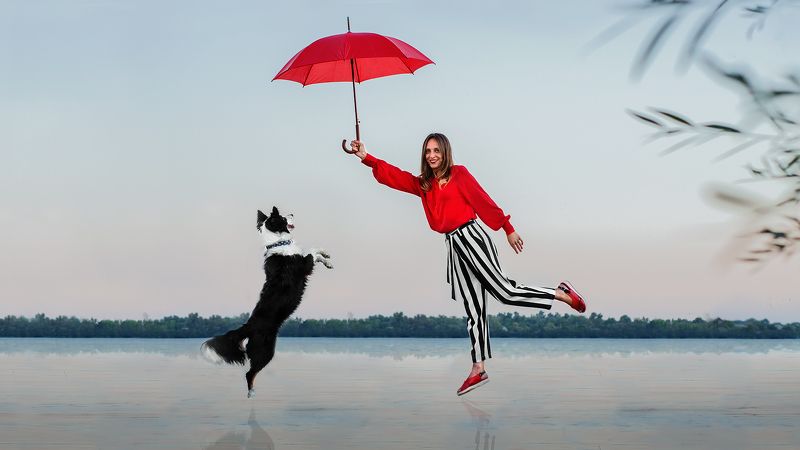 собака, человек, река Dreams фото превью