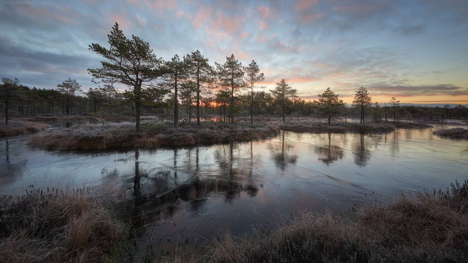 , Антон Кононов