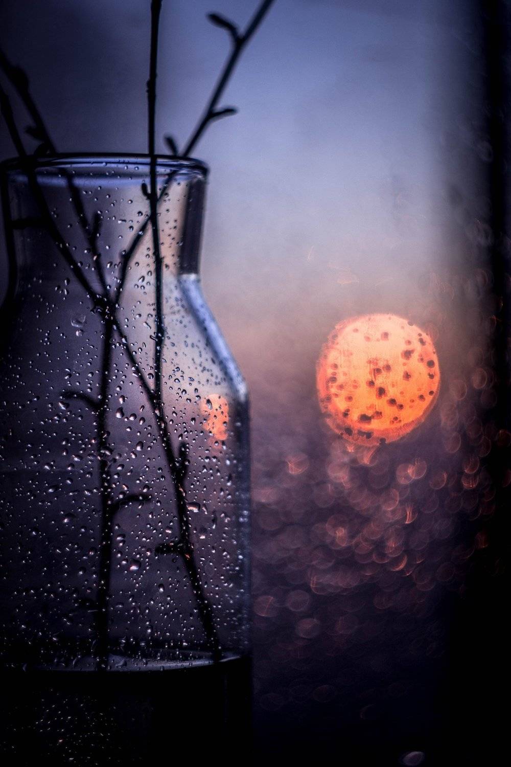 , Svoboda Andreeva