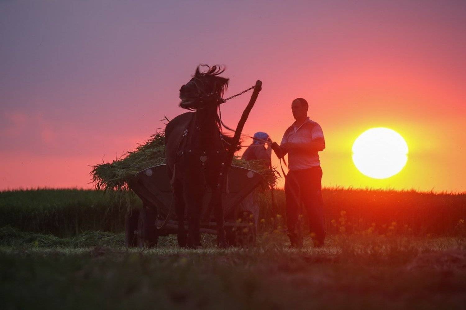 , Вячеслав Мищенко