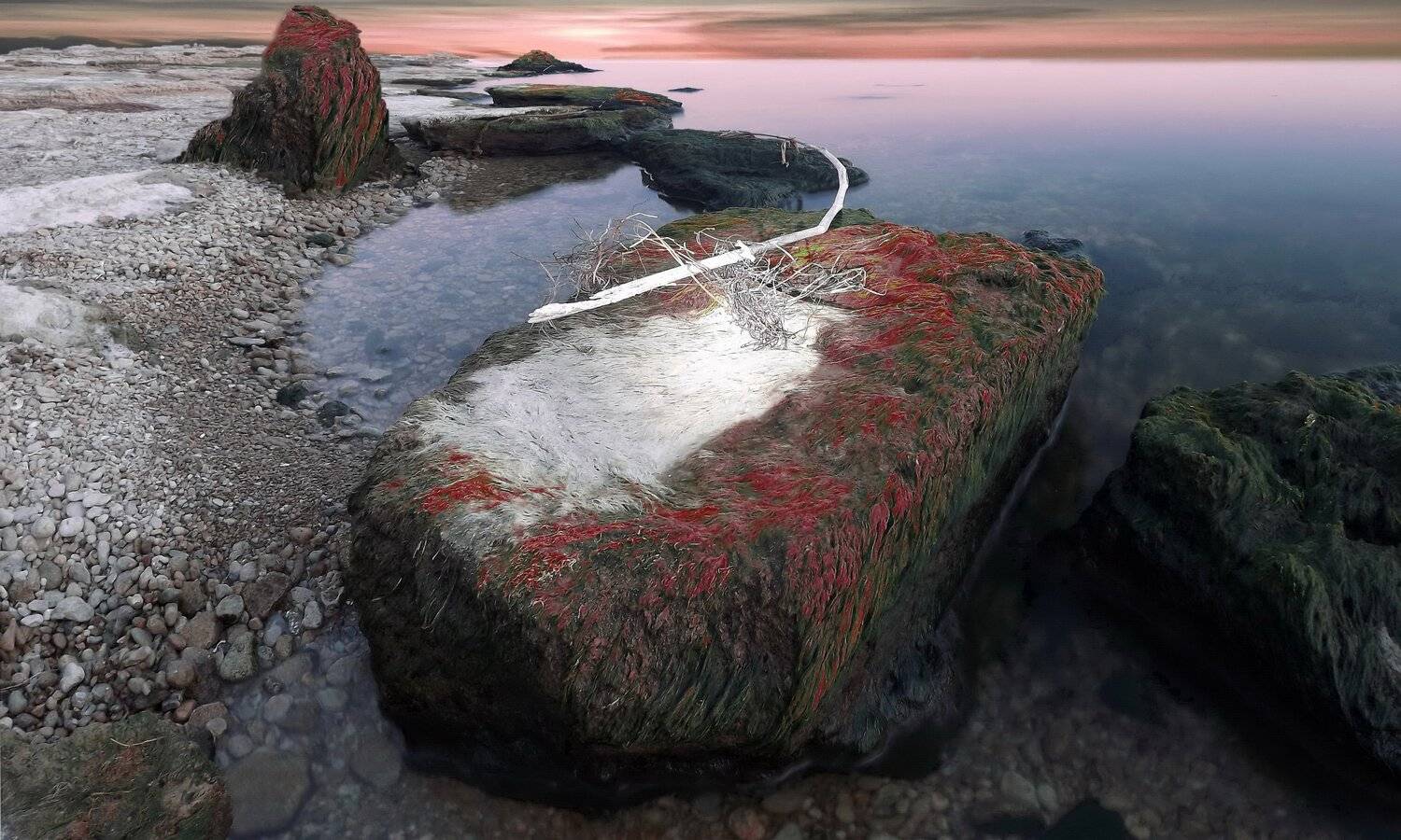 одесса, Сергей Кошелев