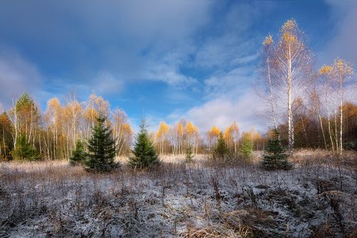 первый снег