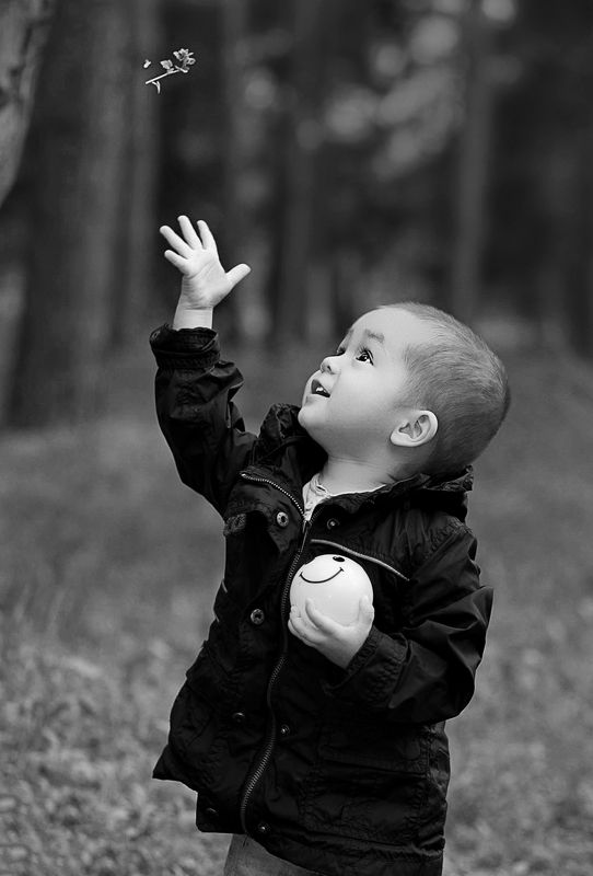 *** фото превью