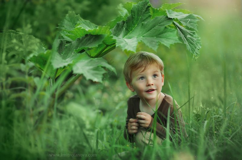 фото превью