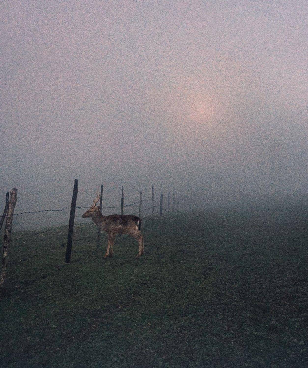 #hosseinmehrzad #myfeatureshoot #friendsinperson #حسین_مهرزاد #theweekoninstagram #everybodystreet #everydayeverywhere #persianlikes #hartcollective #reportagespotlight #uspiran #lensculturetalent #heatercentral #phroommagazine #friendsinperson #streetpho, Hossein Mehrzad