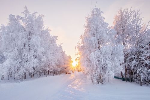 Утро северного городка