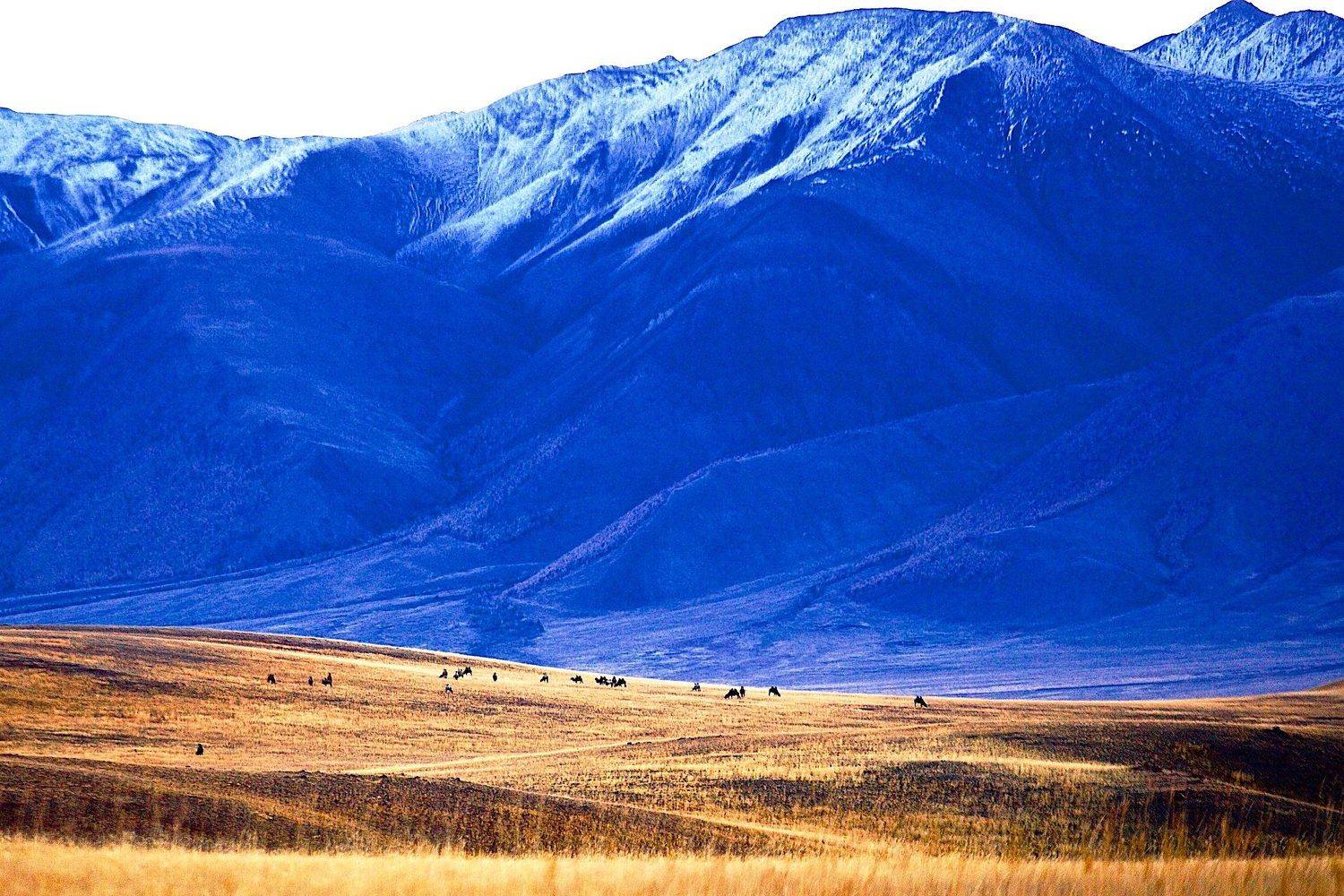 , Мазурин Евгений