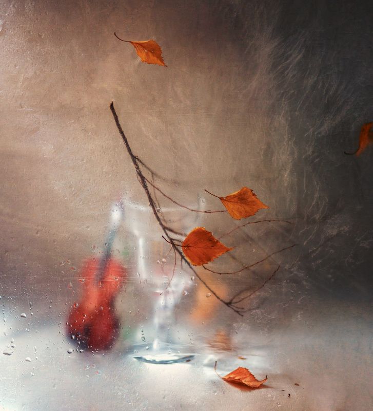 натюрморт, полиэтилен, осень, скрипка, дождь А одинокой скрипки звуки.. фото превью