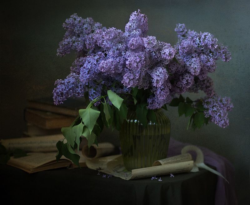 сирень, натюрморт, весна, май, книга, свет, вечер, настроение, алина ланкина, цветы, ваза, букет *** фото превью