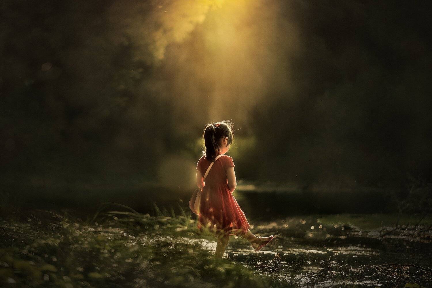 , Despird Zhang