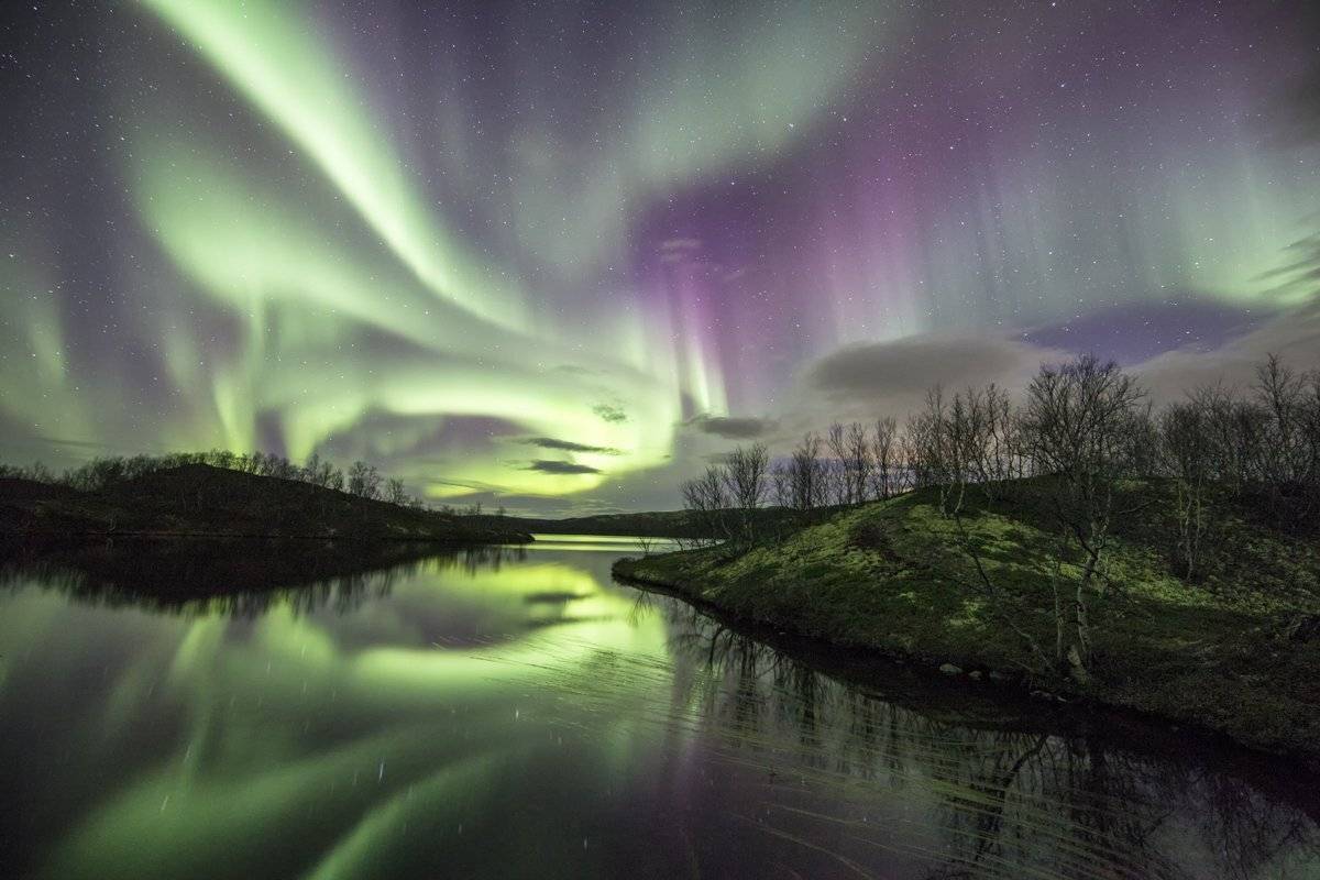 сияние, кольский, Daemus