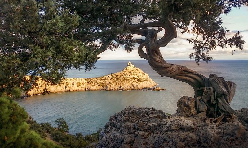 Классика  телефоном фото превью