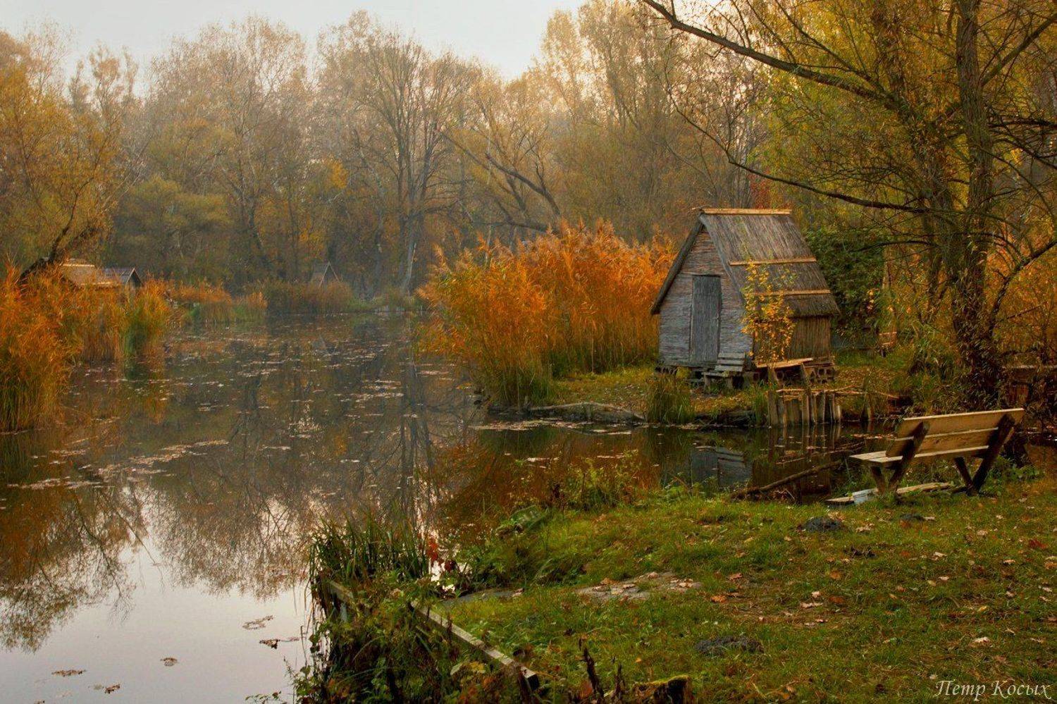 , Петр Косых