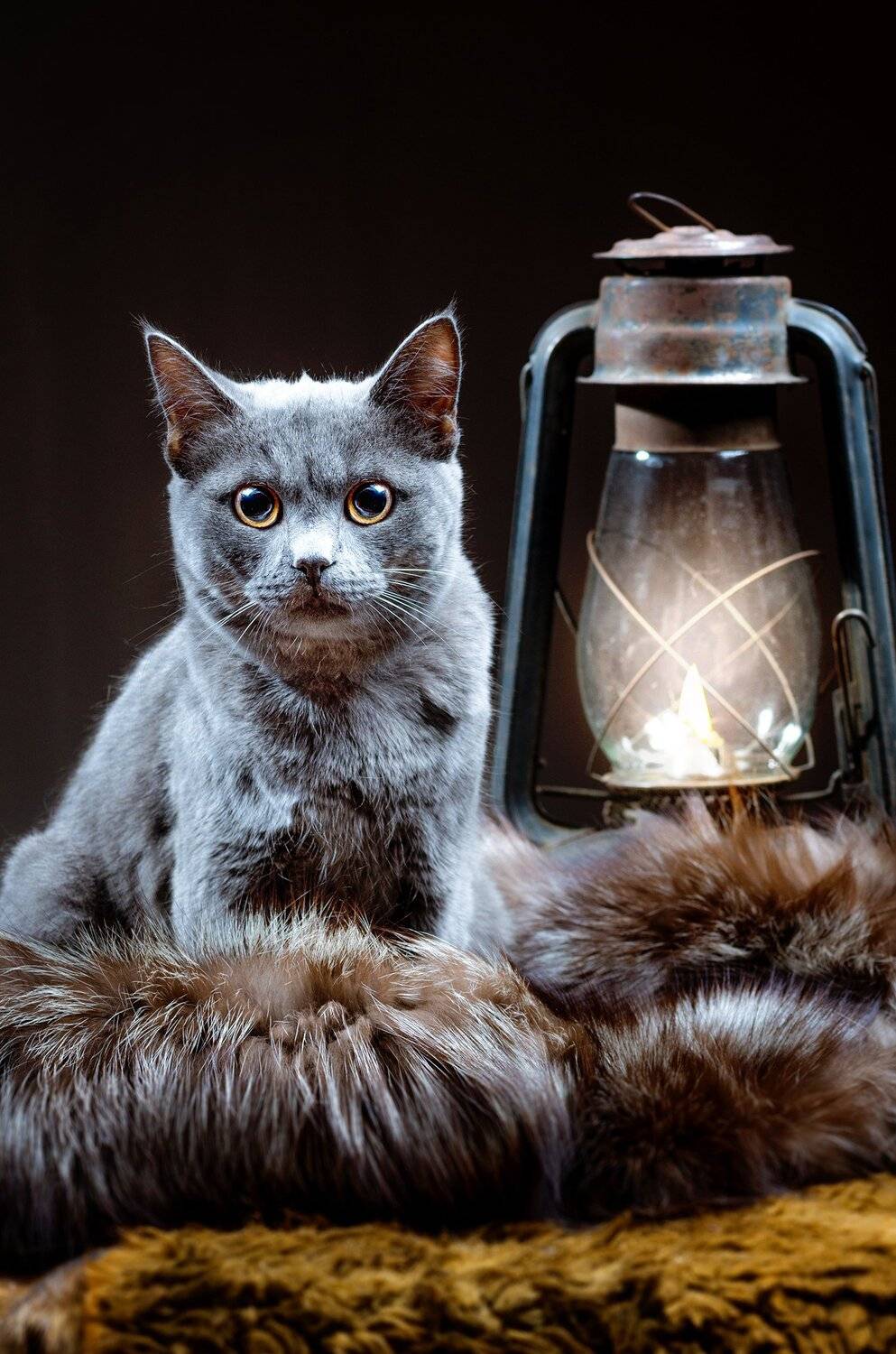 , Вячеслав Владимирович