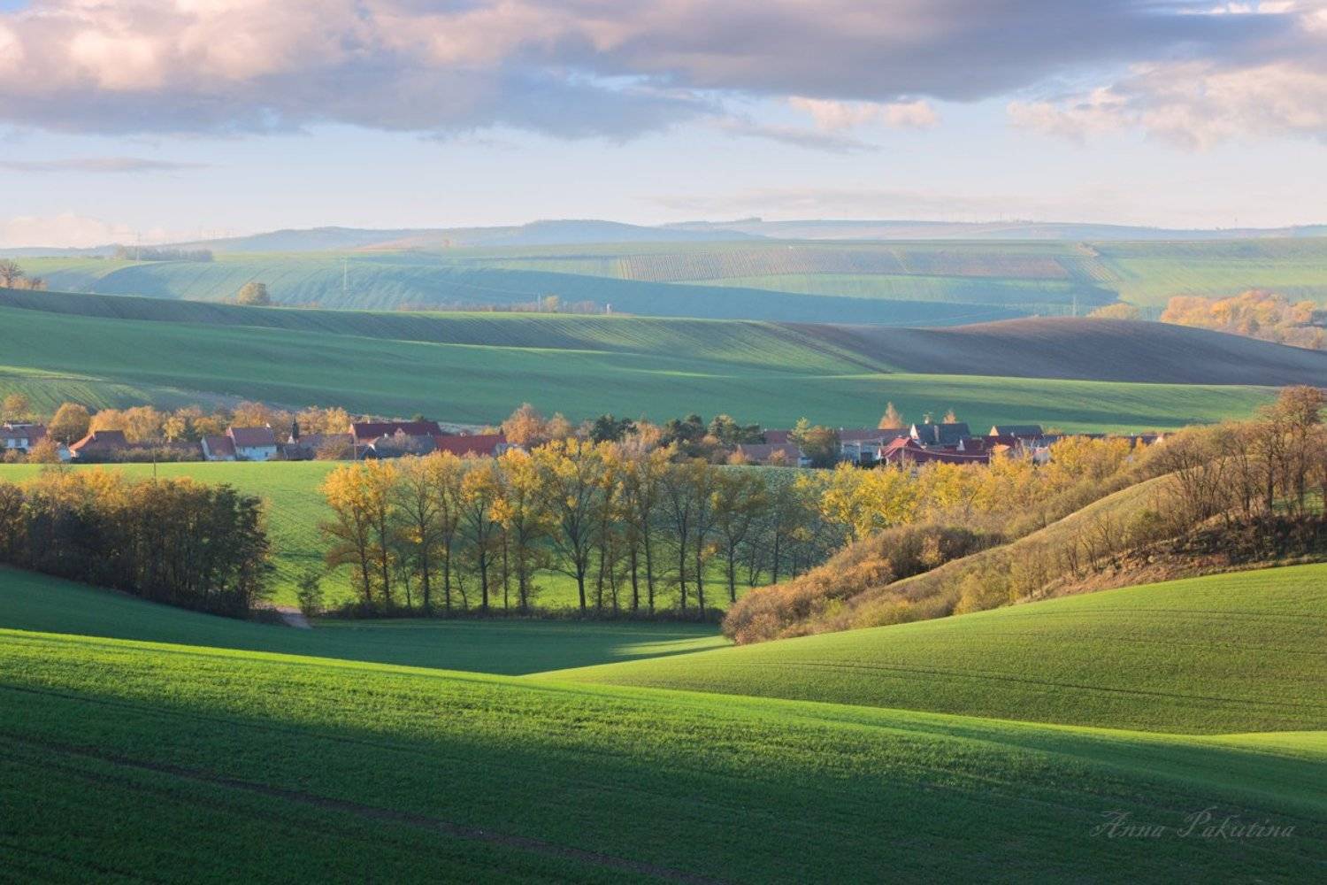 , Анна Пакутина