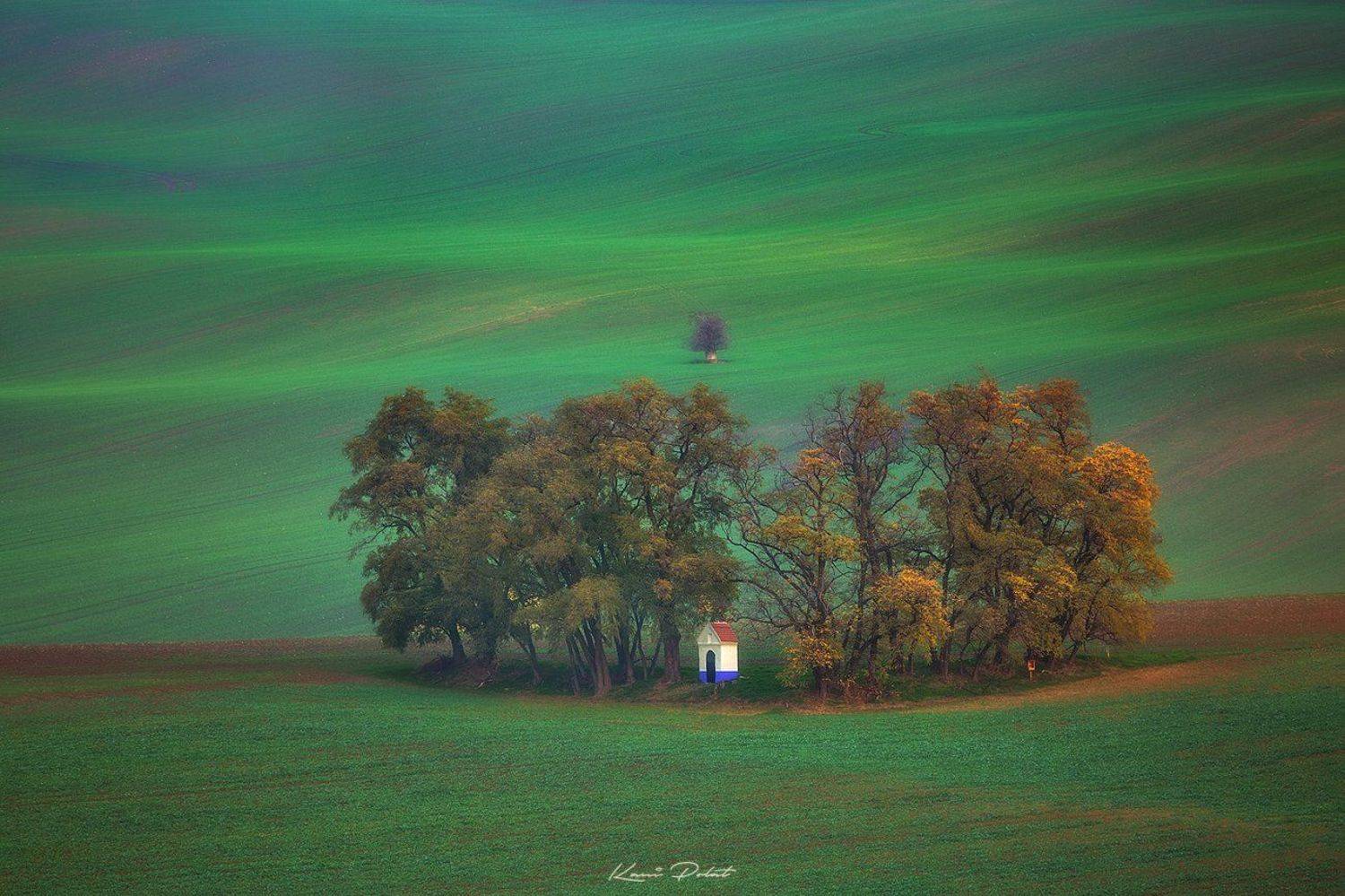 , Kani (kanipolat.com) Polat