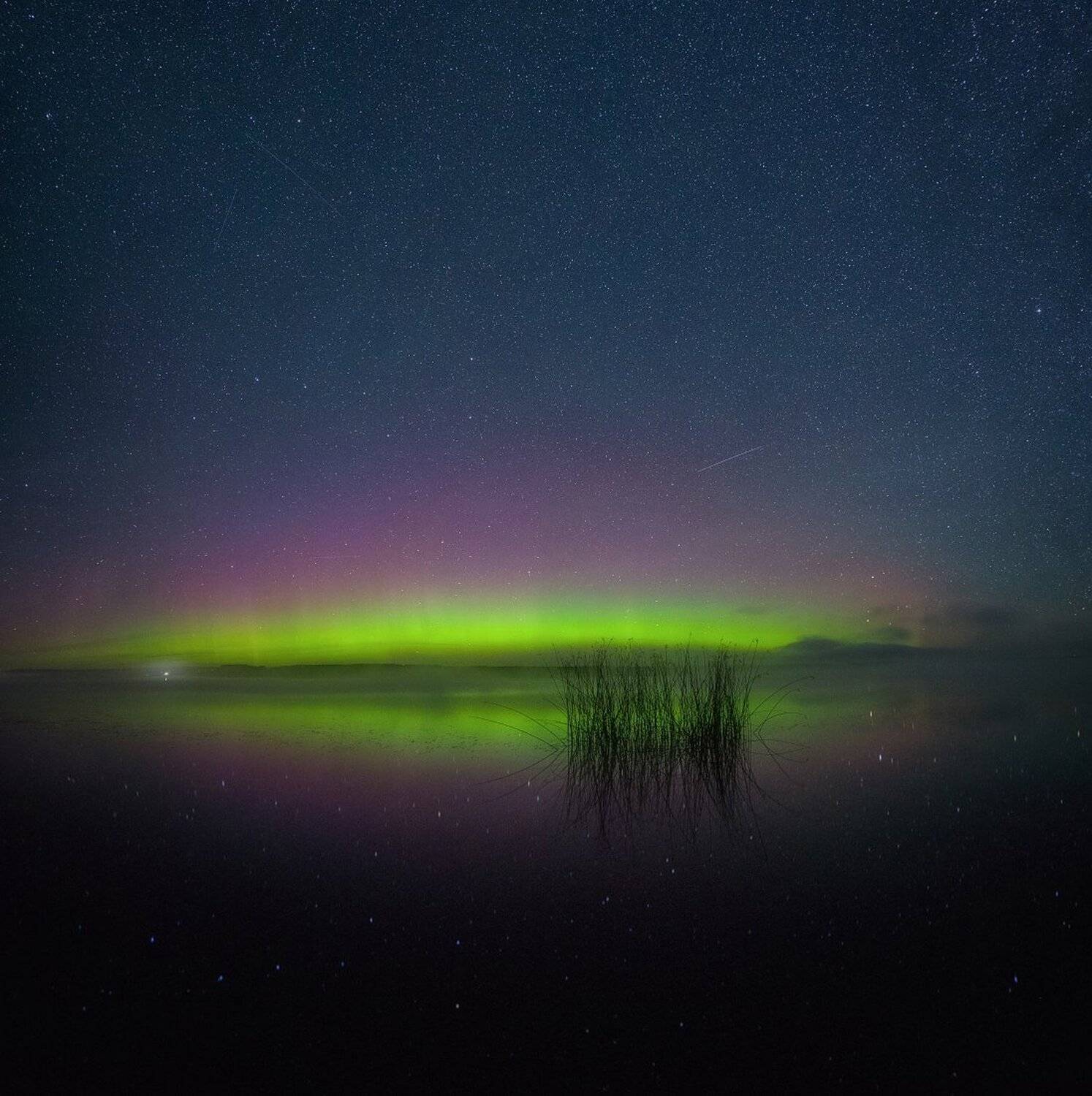 , Устюжанин Михаил