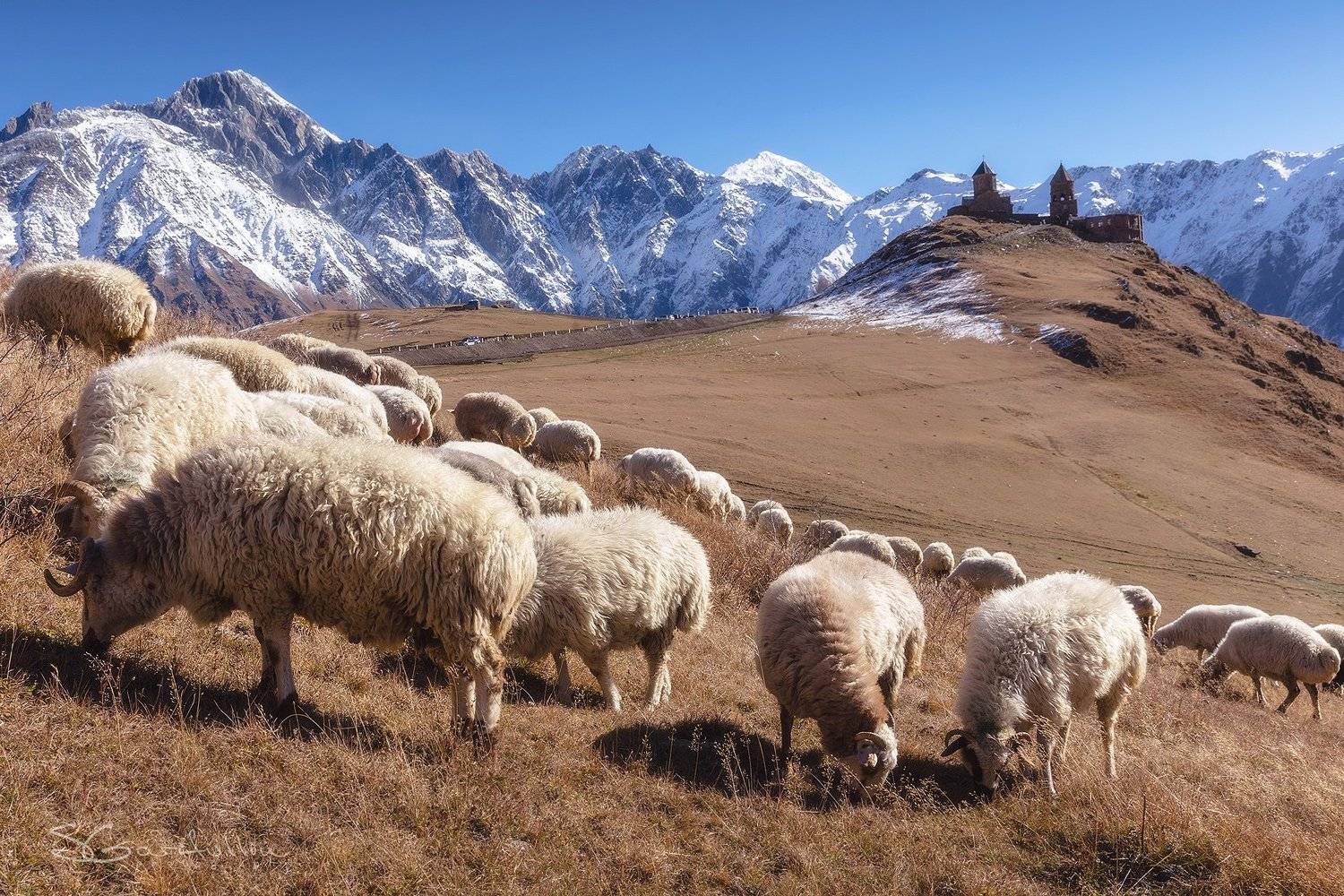 Гергети, Троицкая церковь, Казбек, Казбеги, Грузия, Сергей Гарифуллин
