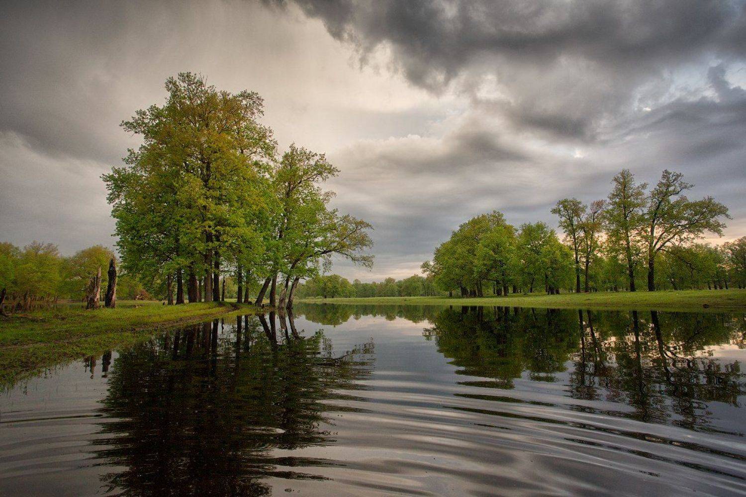 природа утро весна лес, Михаил Корнилов