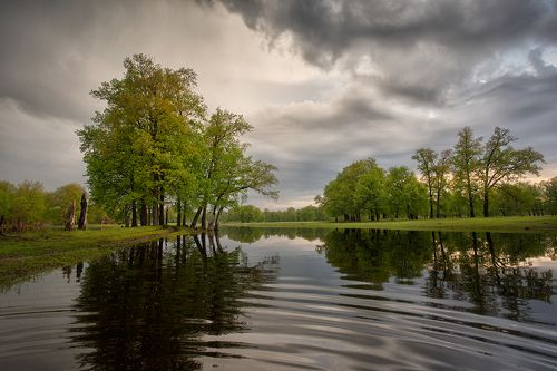 перед весенним дождём